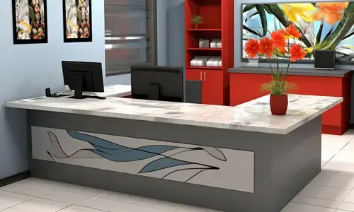 Computer Shop Cash counter and service desk design