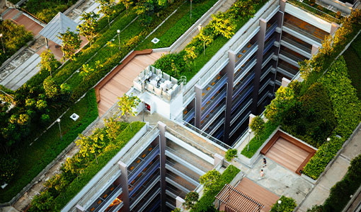 Rooftop Garden
